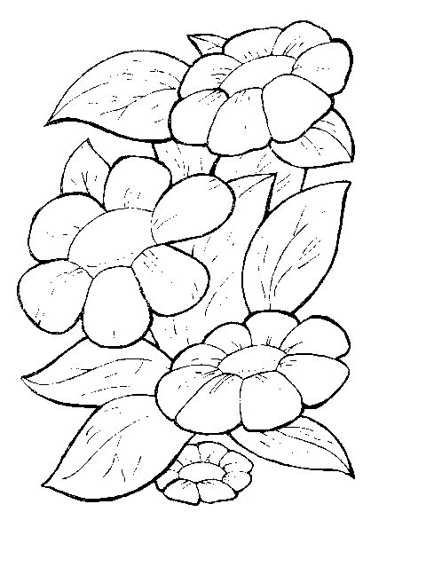 Plansa de colorat cu Flori 28 21